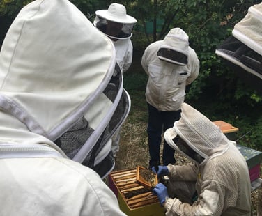 Formation La Miélodie d'Abeilles