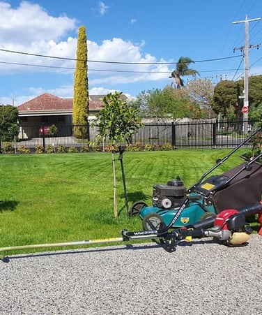 Freshly mown lawn