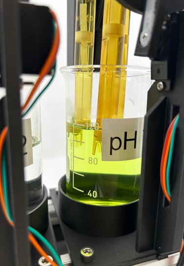 pH Elektroden in einer pH Pufferlösung in einer automatisierten Kalibrierun und Messsmaschine