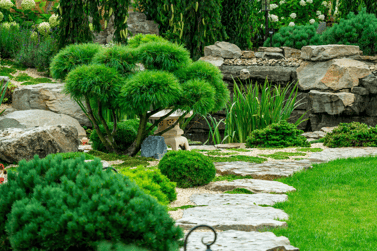 a garden with a stone path leading to a stone path