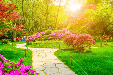 a pathway leading to a garden with flowers