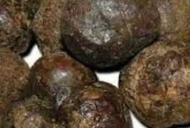 البروبوليس وفوائده