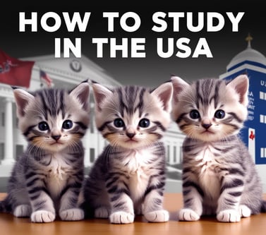 how to study in the usa