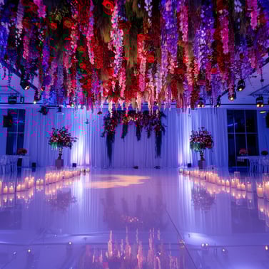 colourful hanging wisteria 