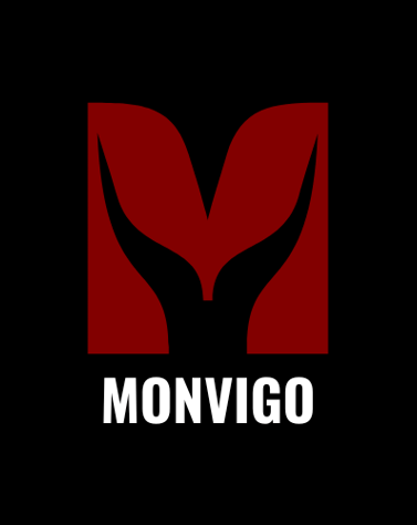 monvigo logo