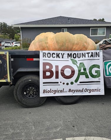 2023 World record Gient Pumpkin Sponser Trailer with The record breaking pumpkin in the back