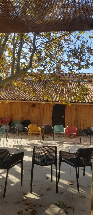 formation sur l'intégration des pratiques écologiques et durables des enfants