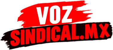 Voz Sindical logo