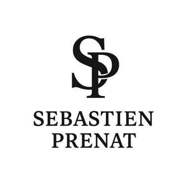 CV profesionnel Sébastien Prénat logo