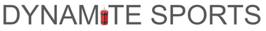 TienSkip logo