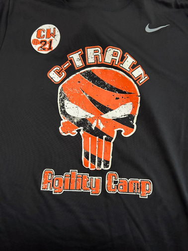 C-Train Agilities logo