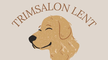 trimsalonlent logo