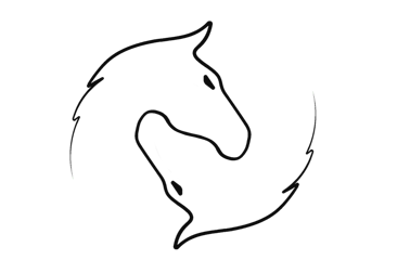 a horse head in the dark with a black background