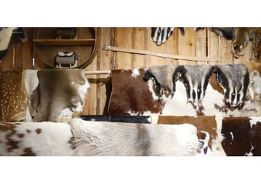 Raw buffalo leather—ethically sourced from halal processing, ideal for tanning and export markets.
