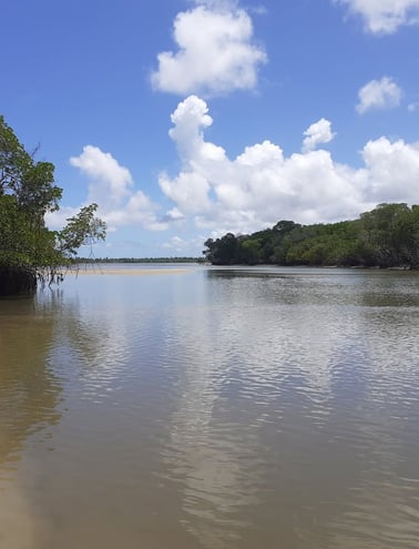 Crôa do Goré: encanto natural de Aracaju-SE