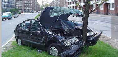 Wrecked vehicle with tree