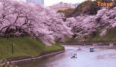 a group of people are in a river with boats