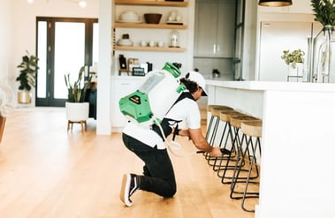 Interior Pest Control Treatment in Arizona