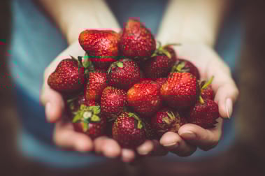 a person holding a bowl of strawberries
