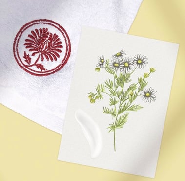 Card featuring an hand-drawn chamomilla botanical illustration next to a white towel on a yellow background