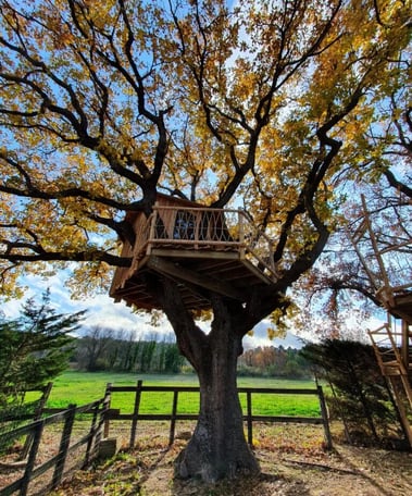 Cabane dans les arbres