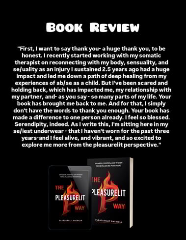 The Pleasurelit Way Book review