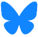 BlueSky Social