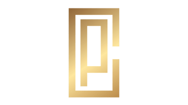 Pantera Consulting logo