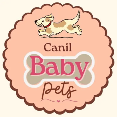 canilbabypets.com.br logo