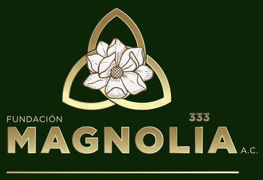 Fundacion Magnolia 333 logo