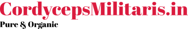 CordycepsMilitaris logo