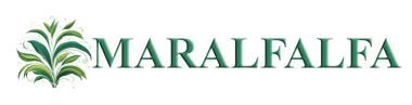 maralfalfa.az logo