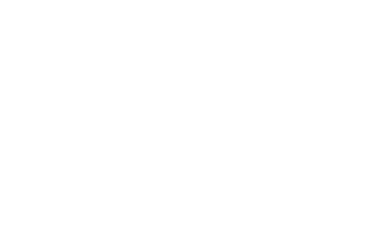 Spark Bridge - Professional Growth Partners logo