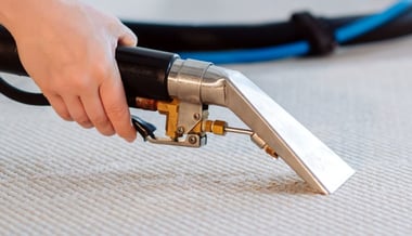 Technicien de M & M Services Pro effectuant un shampouinage professionnel d’un tapis à motifs à Roue