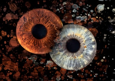 Un iris marron et un iris bleu entrelacés sur fond noir avec paillettes