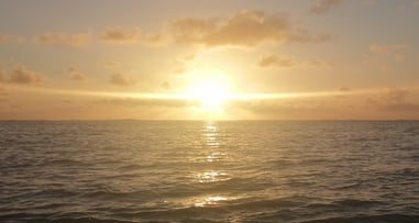 Shine, thrive, be the light