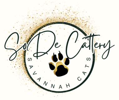 SoDe Cattery logo