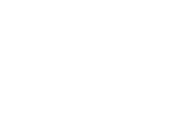 Red Phoenix EA logo