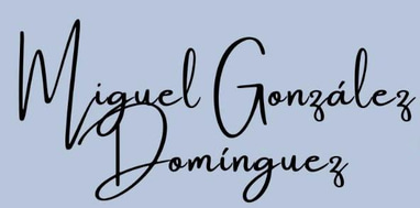 Miguel Gonzalez Dominguez Vicepresidente logo