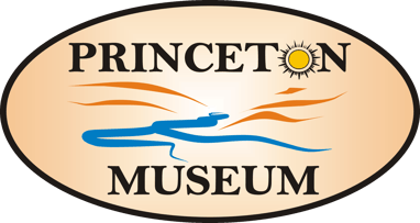 Princeton Museum logo