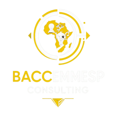 Baccemmesp Consulting logo