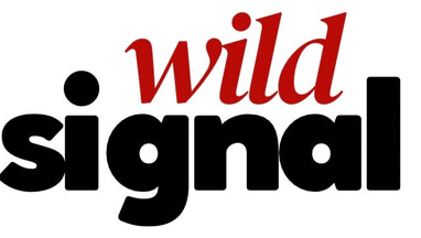 Wild Signal Market logo