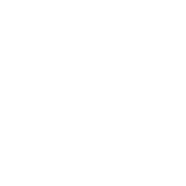 GZVN STUDIO logo