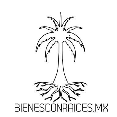 bienesconraices.mx logo