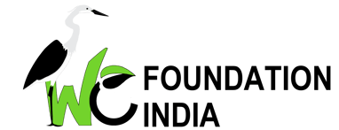 We Foundation India logo