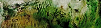 AQ 2 - “Aquatic Series”