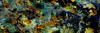 AWC # 294 - “Aquatic Series”