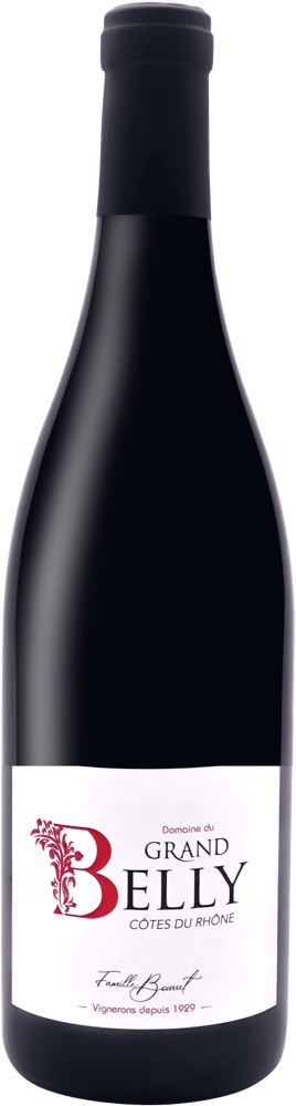 Domaine du Grand Bellly Rode Wijn Frankrijk Cotes du Rhone