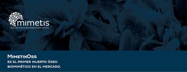 MimetikOss Keylife. Sustituto óseo biomimético