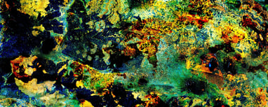 AWC # 295 “Aquatic Series”